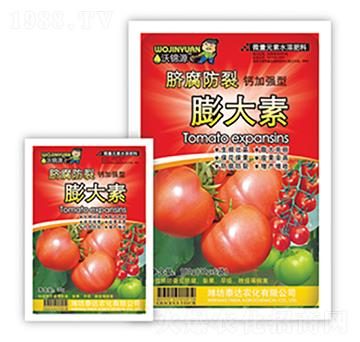 Ě�����������-̩�_�r(n��ng)