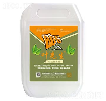 ΢�������-�~����-�ᵹɽ