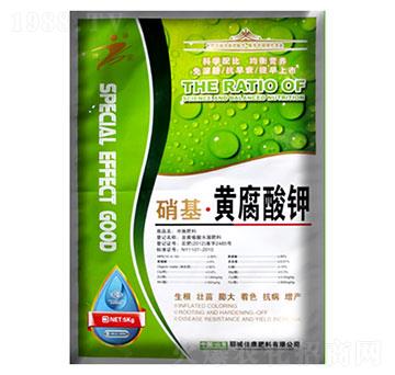 �������S�����-�ѿ�