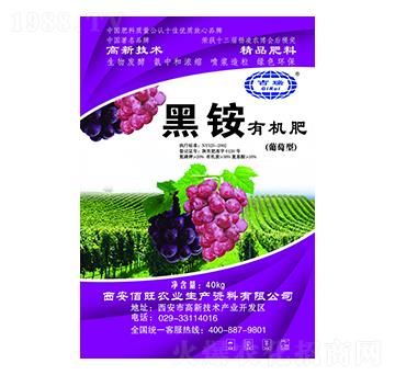 ���@�ЙC(j��)�ʣ������ͣ�-����