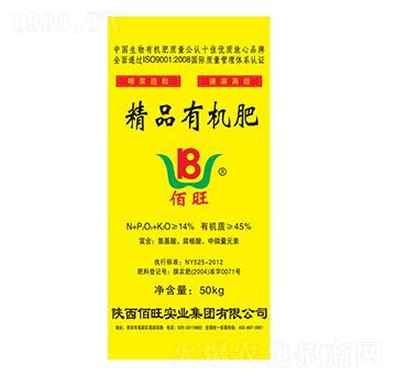 �����ЙC(j��)��-����