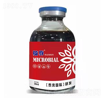 �������Ƅ�-�ƽ�-̩���(gu��)�H