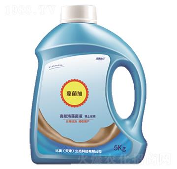 �����-�����-���r(n��ng)(li��n)��