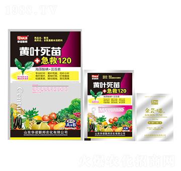 �S�~���缱��120-�A