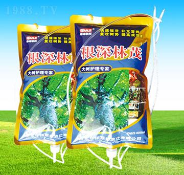 ������ï-����o��Һ-