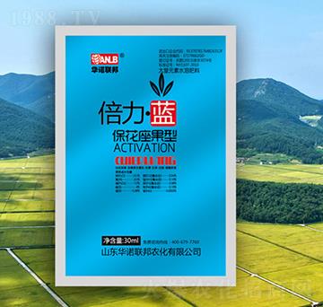 �������{�����������ͣ�