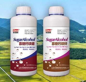 �����}�V��-�A�Z(li��n)��