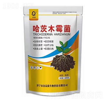 ����ľù��-�����-��