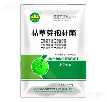 �ݲ�ѿ�ߗU��-��ɽ����