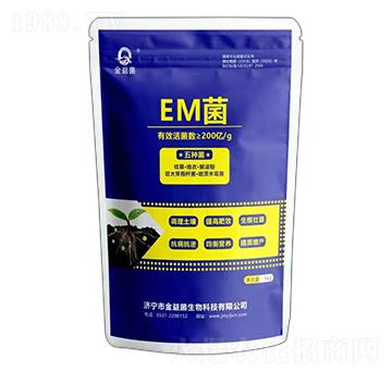 EM��-�����-��ɽ��