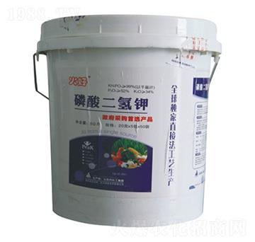 �������� ��ã�Ͱ�� ��¡