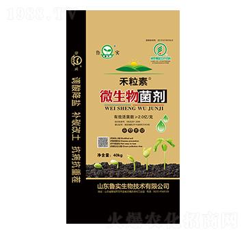 ΢������� ������ ����