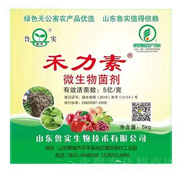 ΢������� ������ ����