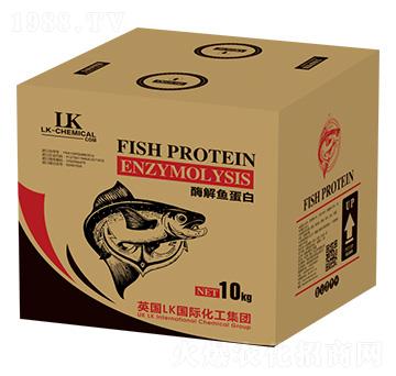 ø���~���� ������