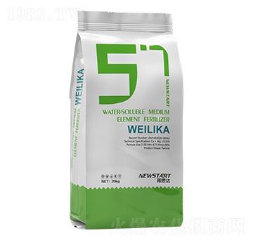 ΢���� �Z˼�_(d��)