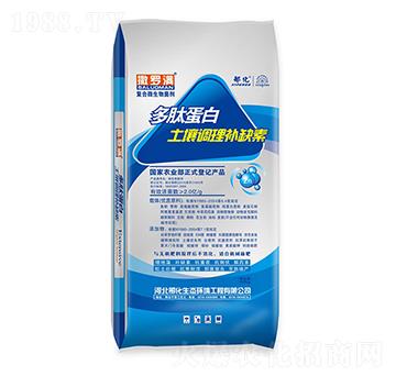 ���ĵ��� �ϻ�