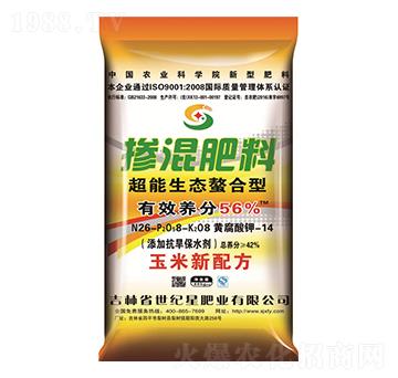 ���������͓������26