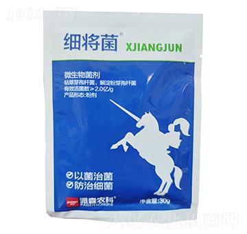 ΢�������-������-��ɭ�r��