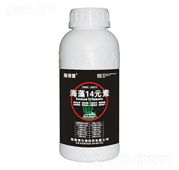 ����14Ԫ��-ʩ�ཡ-�W˹�D����