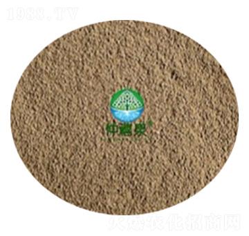 ���ϔM��ù-����Ȫ