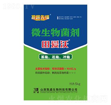 ΢�������-�����-�P