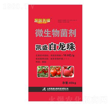 40kg΢�������-��