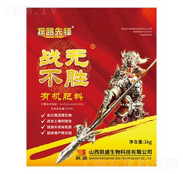 �ЙC(j��)����-��(zh��n)�o����-�P