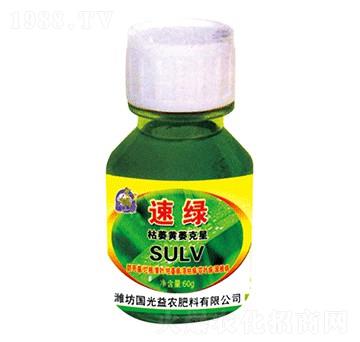 ��ή�Sή����-�پG-��