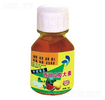 ����������-�������r(n��ng)