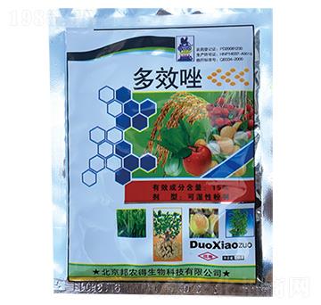 15%��Ч��-��������