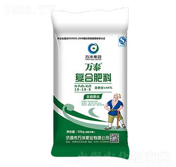 50kg�ͺϷ���18-