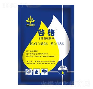 �����r(sh��)�M(j��n)�������-�ȸ�-�����r(n��ng)�I(y��)