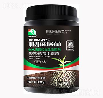 ȫˮ���w��΢�������-