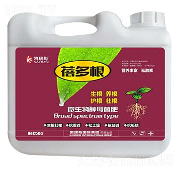 ΢�����ĸ����-�����