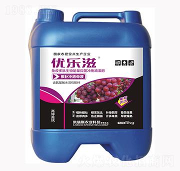 ���у�(y��u)�x���a(b��)�_ʩĸҺ-