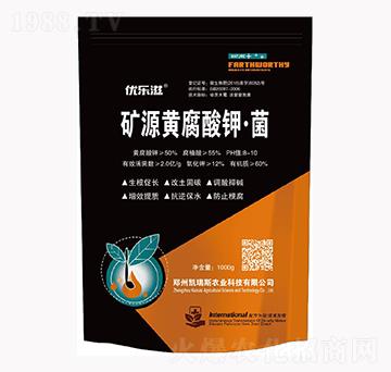 �VԴ�S����⛡���-��(y��u)��