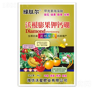 �ָ������}��-���Ƿ�