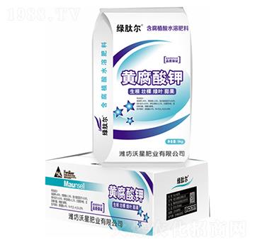 �S�����-���ǷʘI(y��)