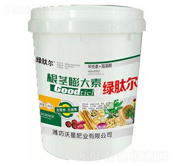 �G�Ġ����o�����-����