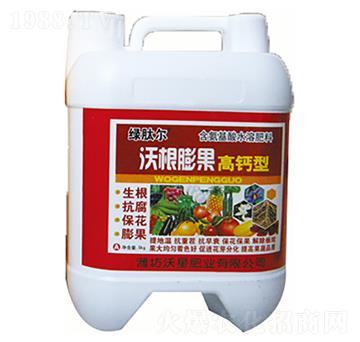 ���}���ָ����-���Ƿ�