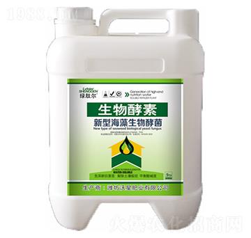 ���ͺ�������;�-����