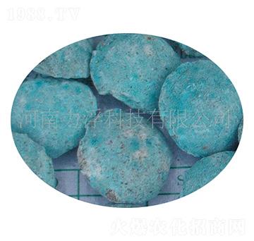 �ؙ������ؘ��-�����Ƽ�