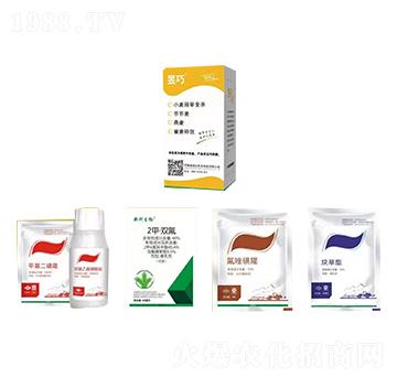 С�����ȫ���M�����b-����-�����_