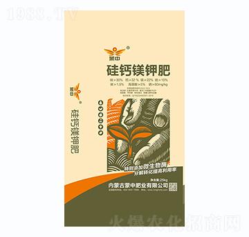 ���}�V⛷�-���зʘI(y��)