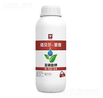 �������0-52-34-�Zؐ��������-������