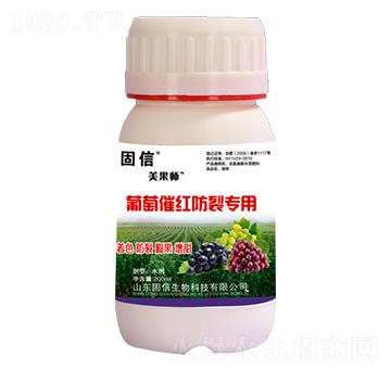 ���Ѵ߼t���ь�(zhu��n)��-��������