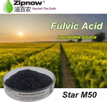 �S����-StarM50-�̰��r(n��ng)