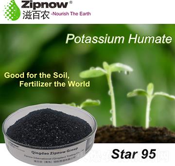 ��ֲ���-��95-�̰��r(n��ng)