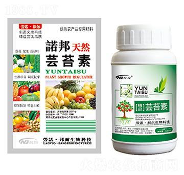 �|̦��-������