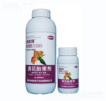 �����\�f-ī���{�T��̥����-�����r(n��ng)�I(y��)